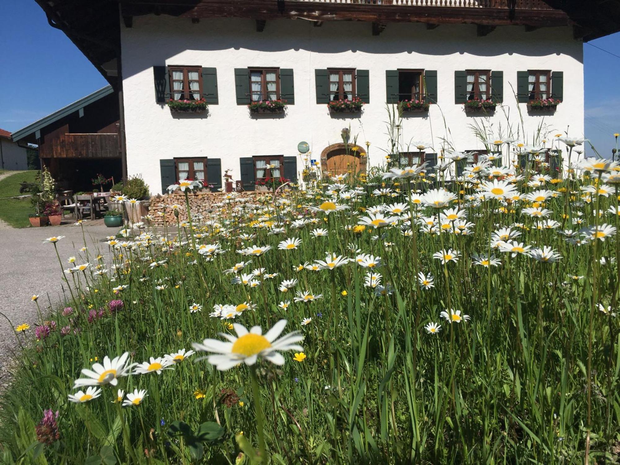 Stadlerhof Frasdorf Zewnętrze zdjęcie